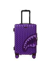 ALL SYSTEMS GO CARRY-ON LUGGAGE