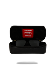 AMERICAN AIRLINES MAXIMUM ALTITUDE AVIATOR CASE
