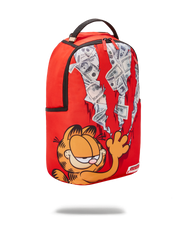 GARFIELD CAT SCRATCH (DLXR)