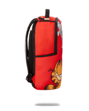 GARFIELD CAT SCRATCH (DLXR)