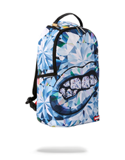 SPENSIVE BACKPACK
