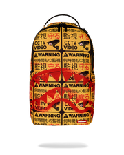 CCTV SECTOR 404 BACKPACK