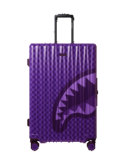 ALL SYSTEMS GO FULL-SIZE LUGGAGE