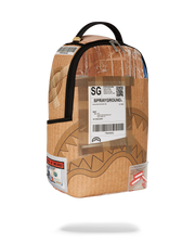 OVERNIGHT DELIVERY BACKPACK